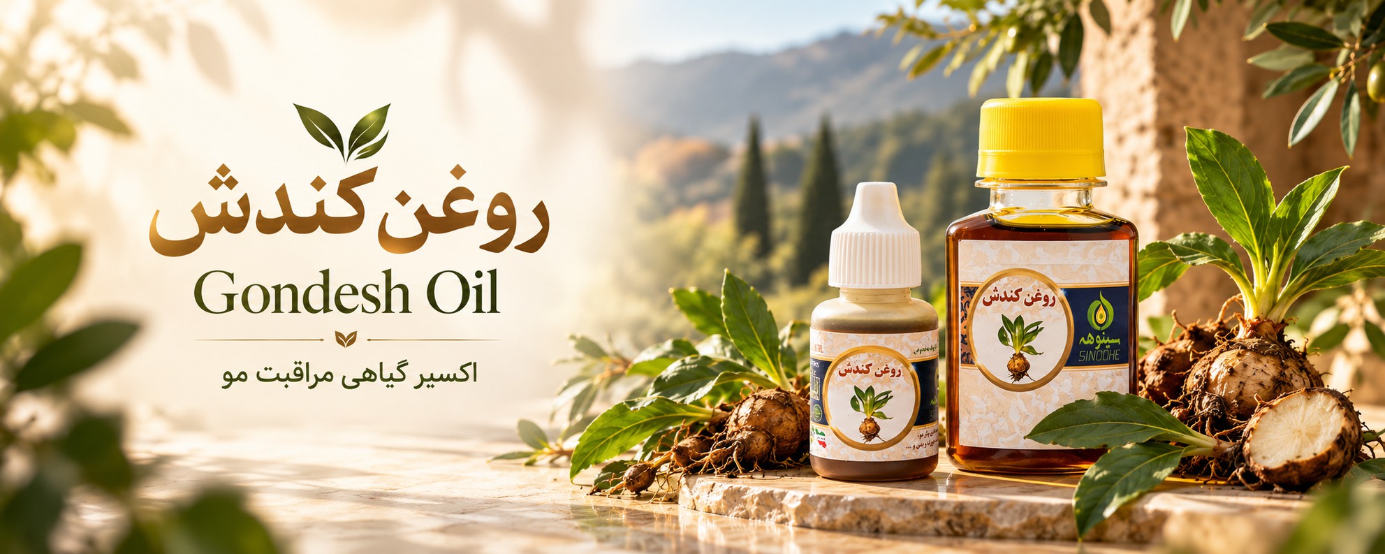 روغن کندش